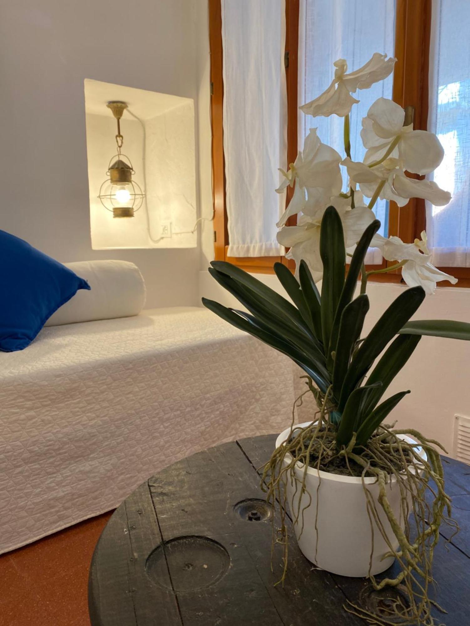 La Verde Di Vernazza - Art Studio - Ac&Wifi - Vernazzarentals 外观 照片